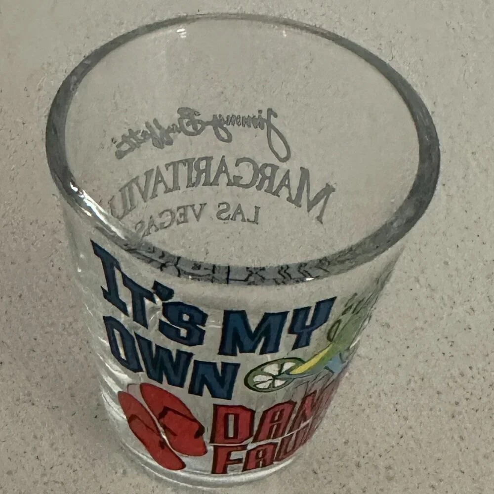 It's My Own Damn Fault - Shot Glass